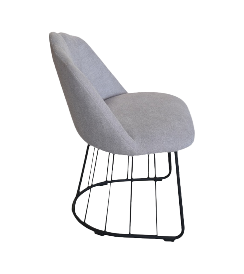 8038-Corona cathedrae