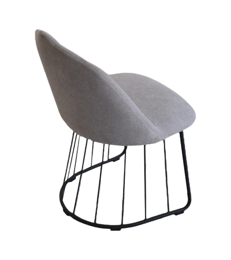 8038-Corona cathedrae